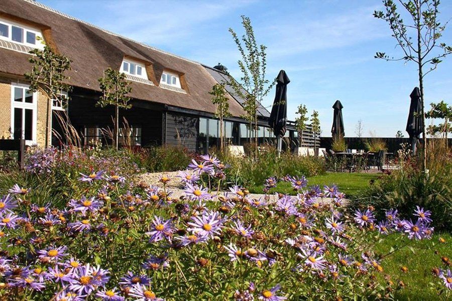 Restaurant Ratatouille