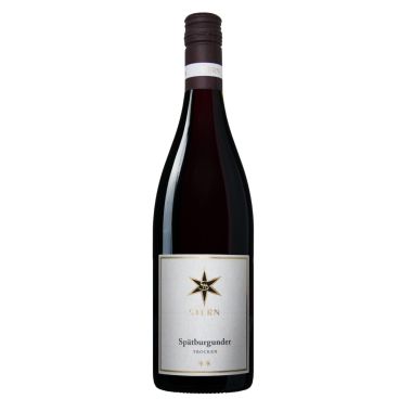Pfalz Spätburgunder 2022 Stern