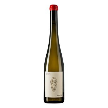 Wachau Riesling Amphora 2021 Domäne Wachau